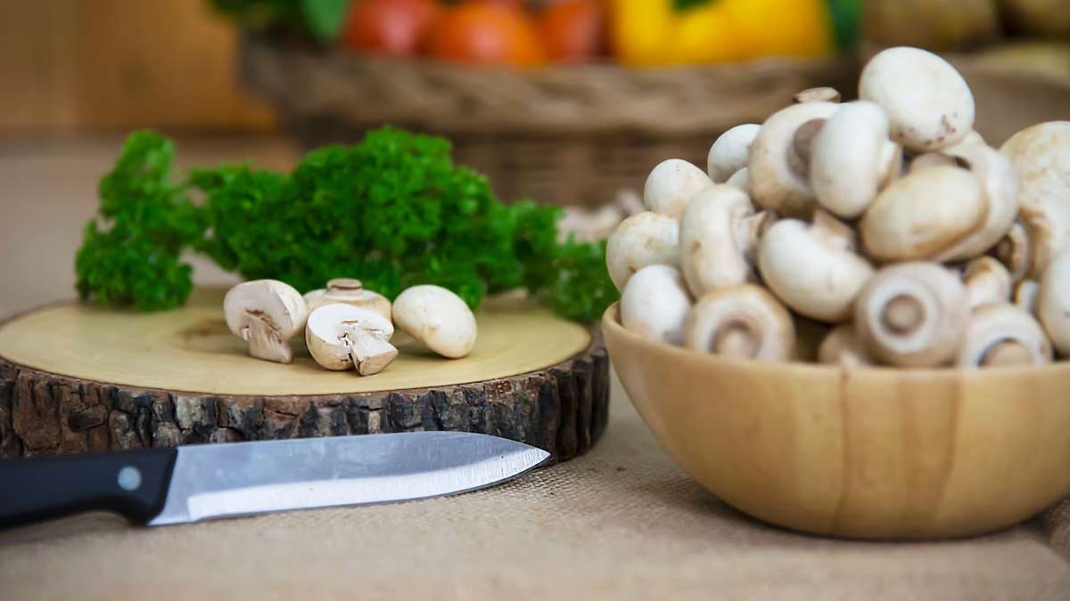 mushroom for weight loss