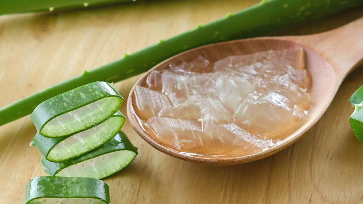 aloe vera for holi skin care