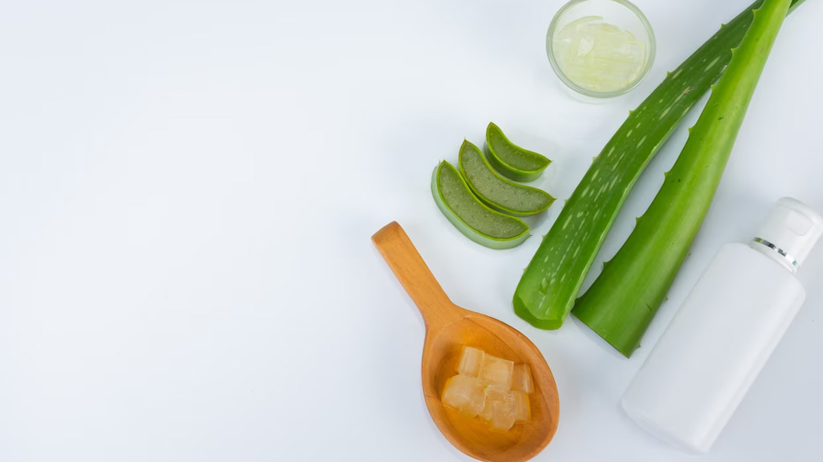aloe vera