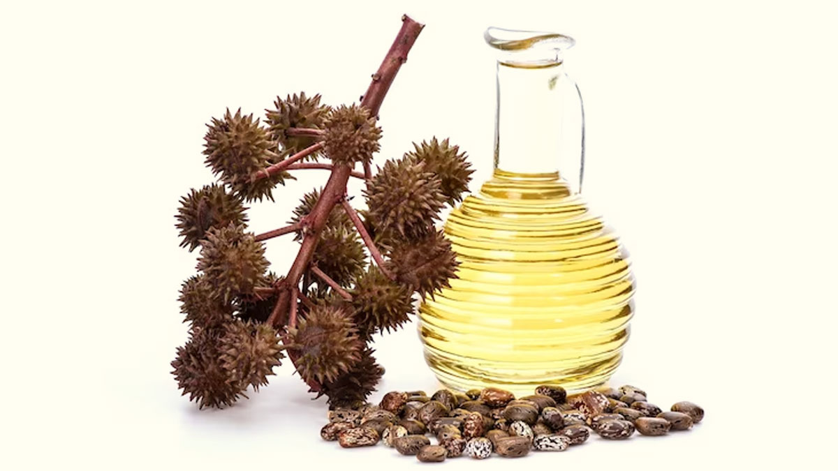 Hair Oils To Maintain Healthy Curls