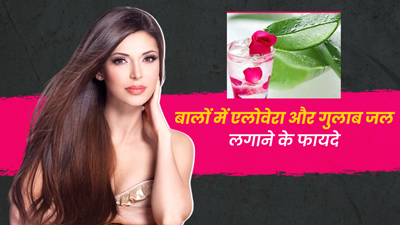 बालों पर इस तरह लगाएं एलोवेरा और गुलाब जल, मिलेंगे कई फायदे 