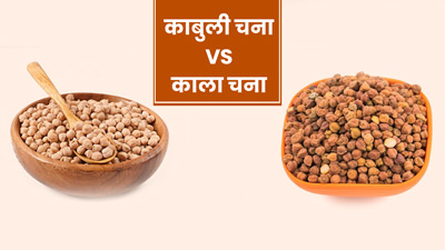 सफेद चना (काबुली चना) vs काला चना:  जानें सेहत के लिए क्या है ज्यादा फायदेमंद