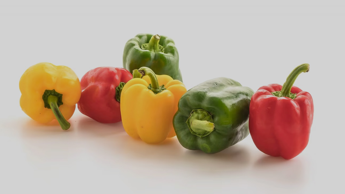 capsicum