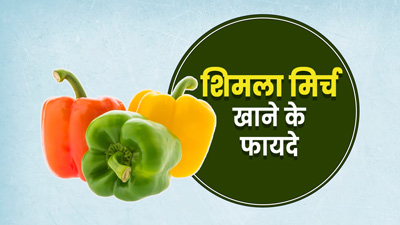 Capsicum Benefits: शिमला मिर्च खाने से सेहत को मिलते हैं ये 5 बेमिसाल फायदे 
