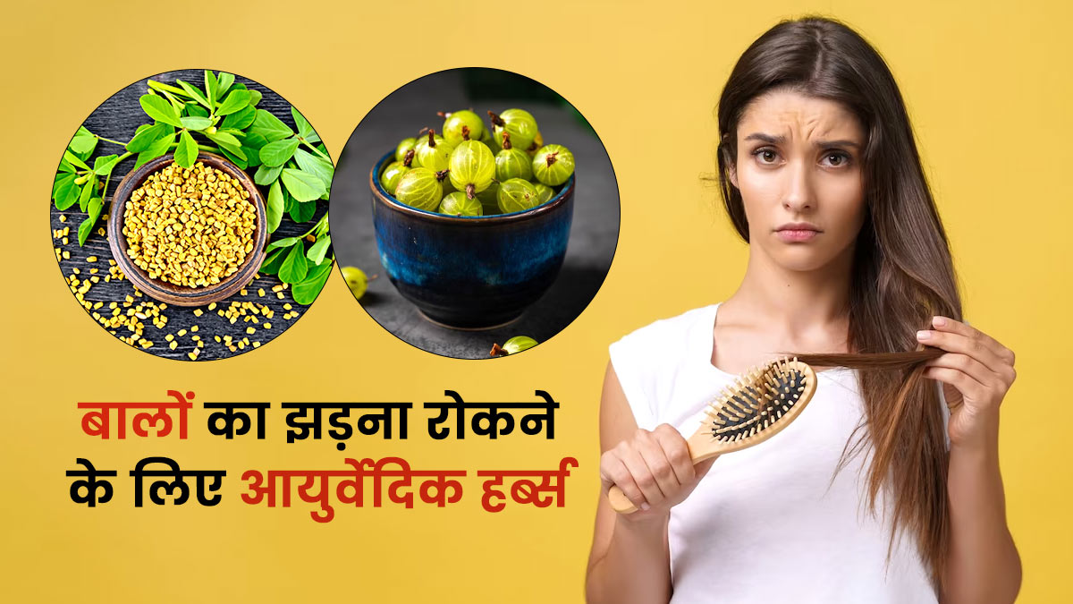 हेयर फॉल की समस्या दूर करेंगी ये 5 आयुर्वेदिक हर्ब्स, जानें इस्तेमाल का तरीका