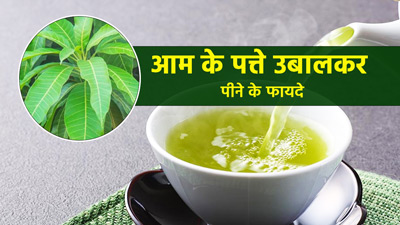 आम के पत्ते उबालकर पीने से सेहत को मिलेंगे 5 जबरदस्त फायदे