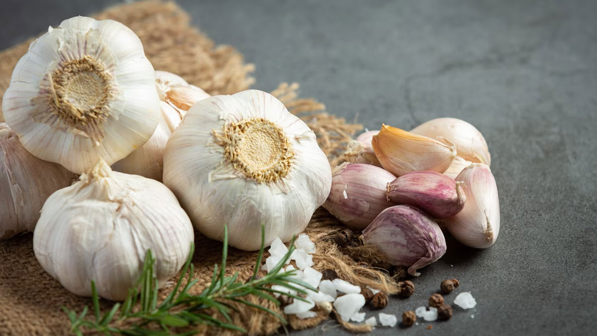 garlic benefits for hair