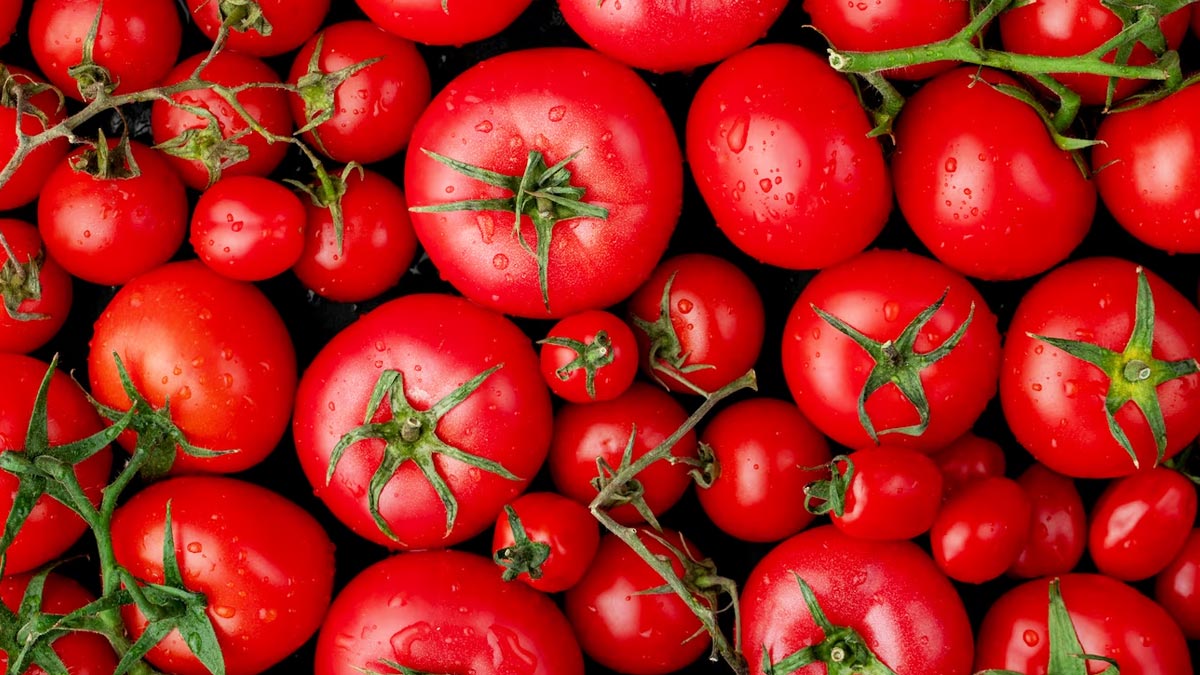 tomato