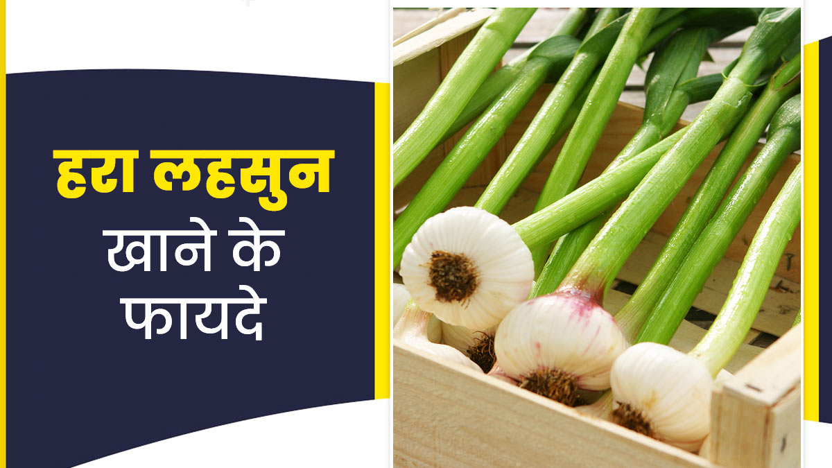 हरा लहसुन खाने के फायदे | Green Garlic Benefits In Hindi