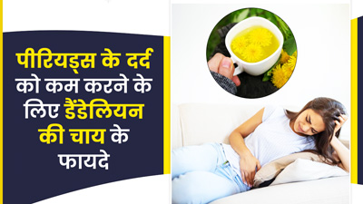 पीरियड्स के दर्द से छुटकारा दिला सकती है डैंडेलियन (सिंहपर्णी) की चाय, जानें कैसे बनाएं इसे