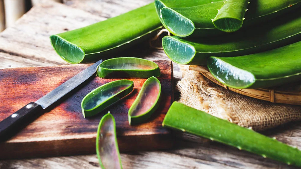 aloe vera for hand darkness