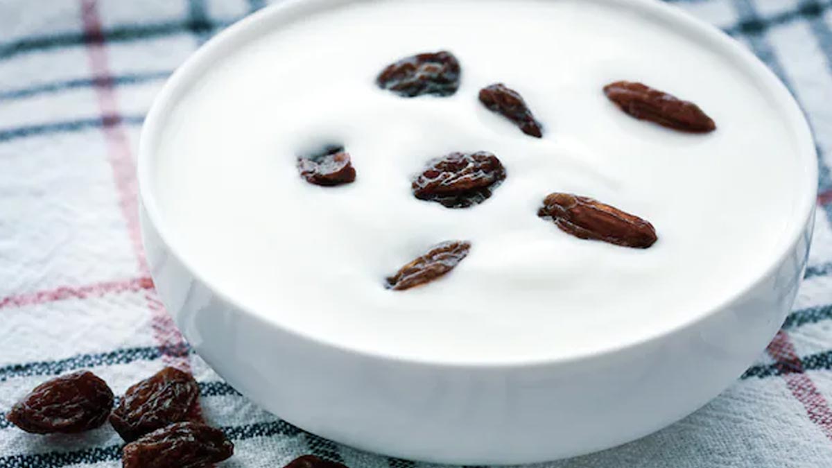 Curd-Mixes-For-Instant-Energy