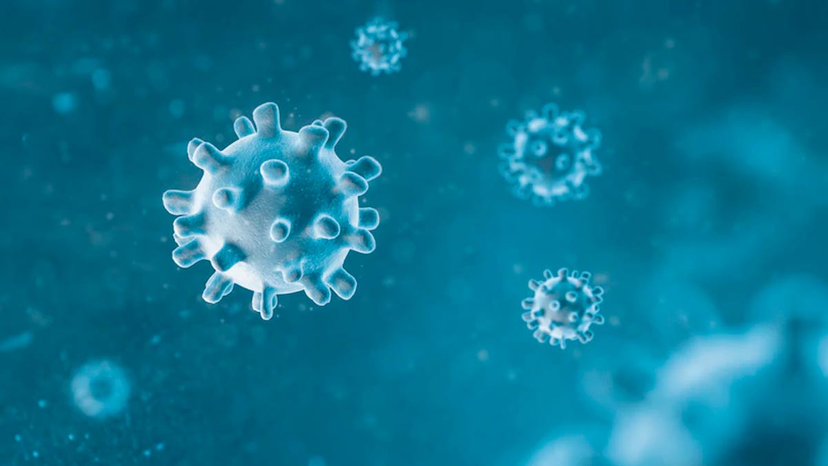 India first H3N2 virus death confirmed in Karnataka in Hindi