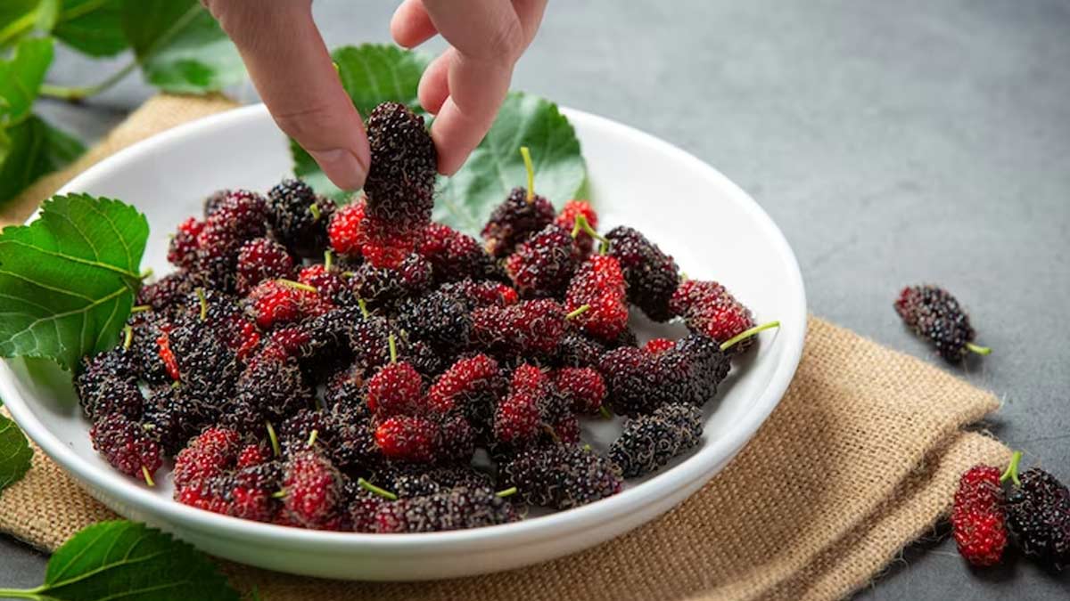 From Diabetes To Good Skin, Amazing Health Benefits Of Mulberries 