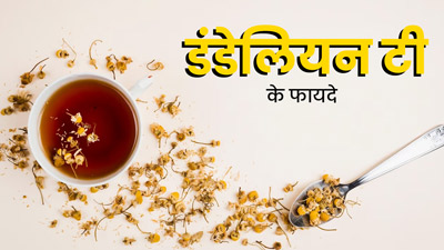 रोज दूध वाली चाय के बजाए पिएं सिंहपर्णी (डंडेलियन) की चाय, सेहत को मिलेंगे 5 जबरदस्त फायदे