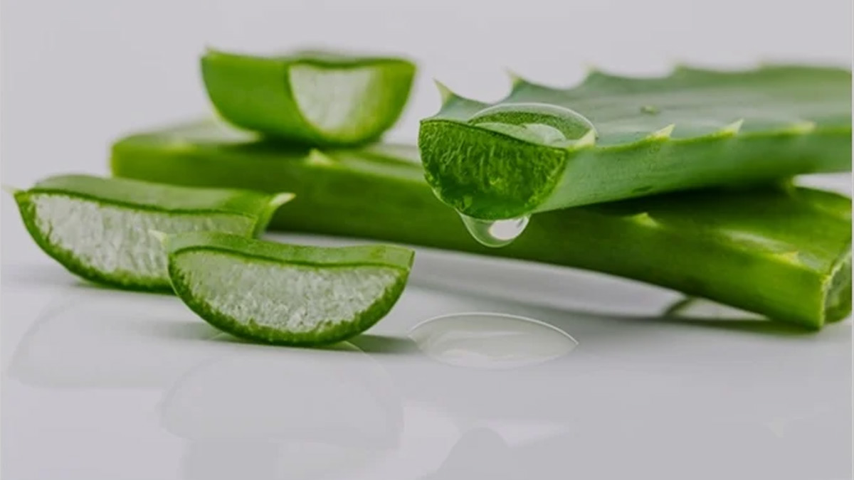 aloe vera for silky hair