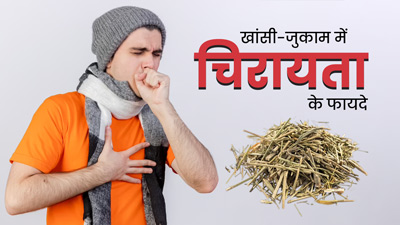 खांसी-जुकाम में ऐसे करें चिरायता का इस्तेमाल, तेजी से मिलेगा फायदा