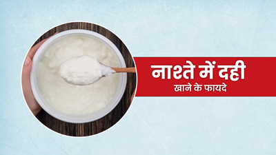 रोज सुबह नाश्ते में खाएं दही, सेहत को मिलेंगे ये 5 जबरदस्त फायदे