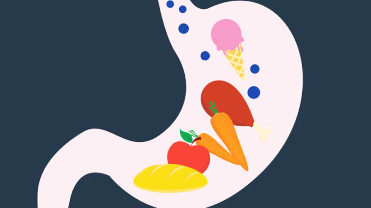 fennel and coriander for digestion