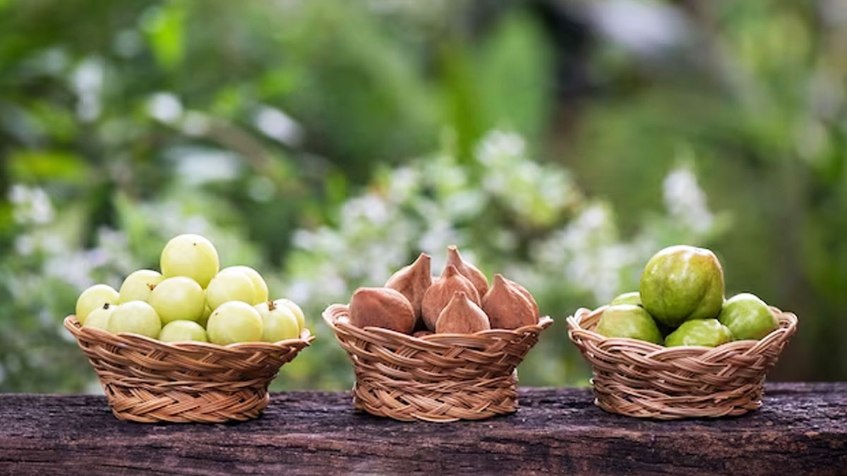 Triphala Churna For Acidity In Hindi