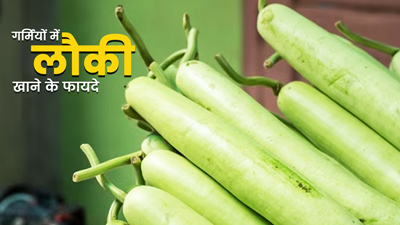 गर्मी में खूब खाएं ठंडी तासीर वाली लौकी, सेहत के लिए इन 5 कारणों से है फायदेमंद