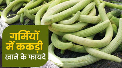 गर्मियों में खूब खाएं ककड़ी, वजन होगा कम और मिलेंगे कई जबरदस्त फायदे