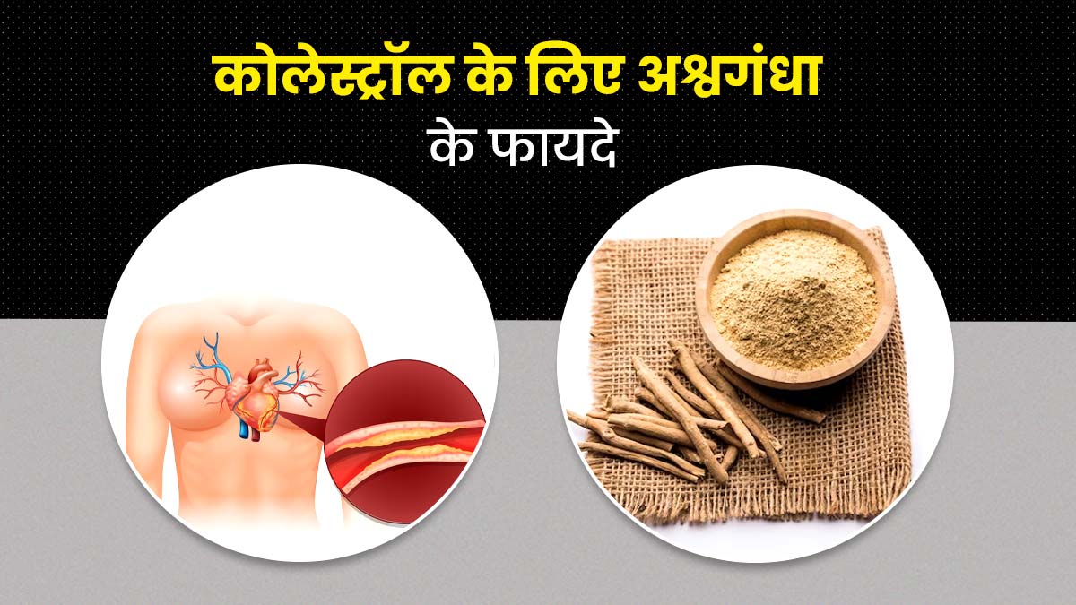 कोलेस्ट्रॉल कम करने में मदद करेगा अश्वगंधा, जानें कैसे करना है सेवन