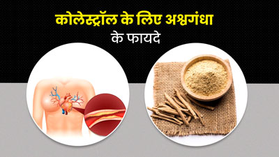 कोलेस्ट्रॉल कम करने में मदद करेगा अश्वगंधा, जानें कैसे करना है सेवन