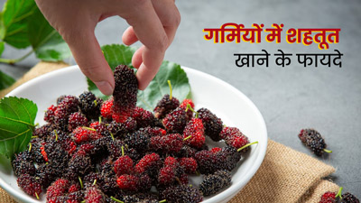 गर्मियों में जरूर खाएं शहतूत, नहीं लगेगी लू और मिलेंगे जबरदस्त फायदे