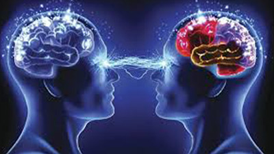 दिमाग की नसों को कमजोर बना सकते हैं ये 4 फूड्स, खाने से करें परहेज  