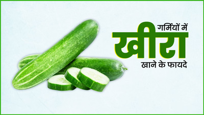 गर्मियों में जरूर खाएं खीरा, सेहत को मिलेंगे ये 5 फायदे 