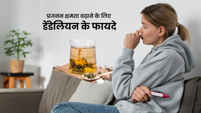 इंफर्टिलिटी की समस्या दूर करेगी सिंहपर्णी (डंडेलियन), जानें कैसे करें प्रयोग