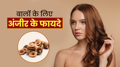 बालों की ग्रोथ बढ़ाने के लिए ऐसे करें अंजीर का इस्तेमाल, बाल होंगे शाइनी और घने