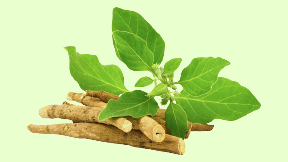 ashawgandha for bodybuilding