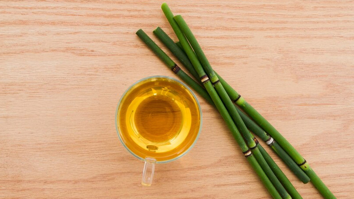 bamboo extract benefits for skin