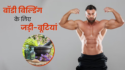 बॉडी बिल्डिंग करना चाहते हैं, तो डाइट में शामिल करें ये 4 जड़ी-बूटियां