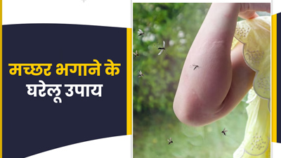 घर में नहीं भटकेगा एक भी मच्छर, आज ही अपनाएं ये 5 घरेलू नुस्खे