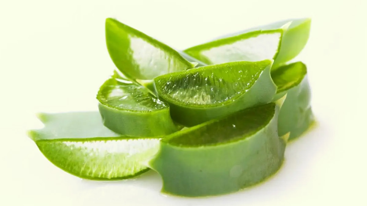 aloevera for hair