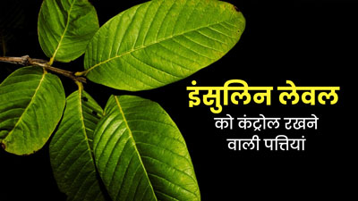 डायबिटीज मरीजों में इंसुलिन को कंट्रोल करती हैं ये 5 पत्तियां, जानें कैसे करें डाइट में शामिल