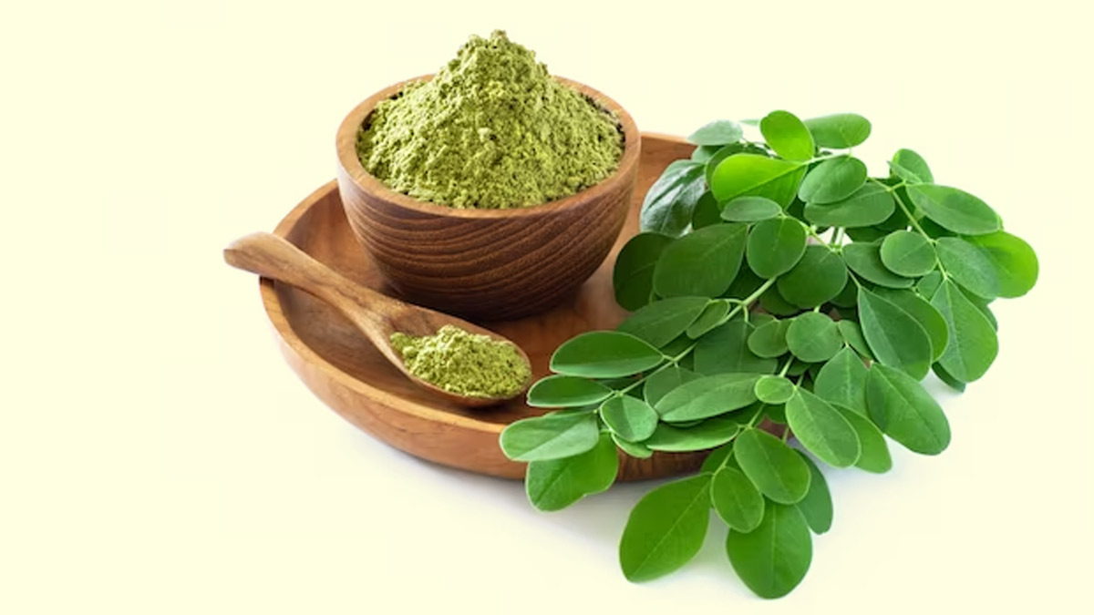 add moringa in diet 