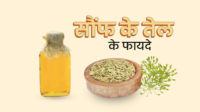 सौंफ के तेल से सेहत को मिलते हैं कई फायदे, रेगुलर इस्तेमाल से दूर हो सकती हैं कई समस्याएं 