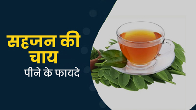 रोज पिएं मोरिंगा (सहजन) की चाय, सेहत को मिलेंगे ये 5 जबरदस्त फायदे