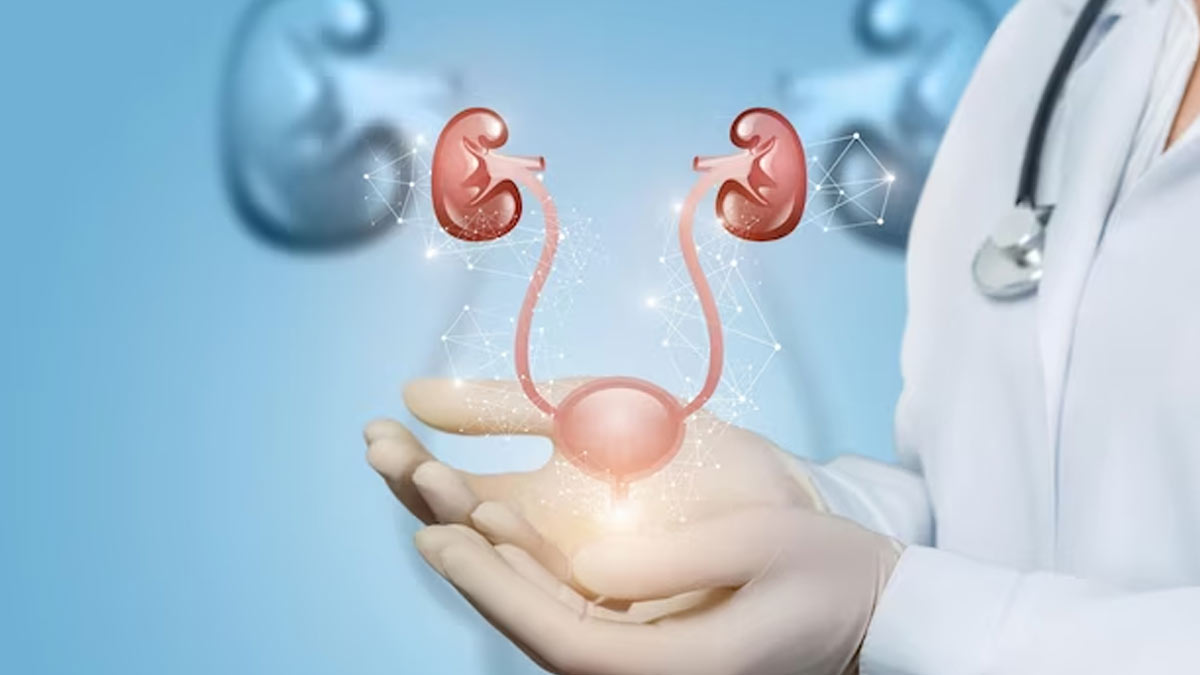 Prostatitis Causes in Hindi