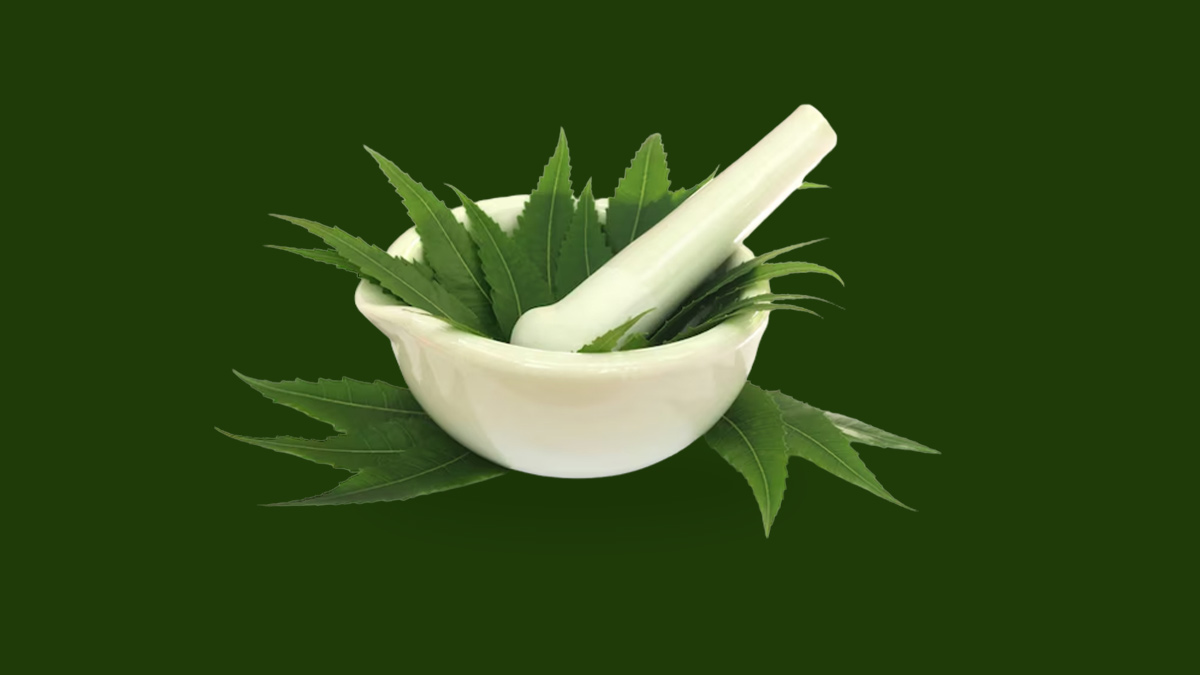 neem leaves benefits