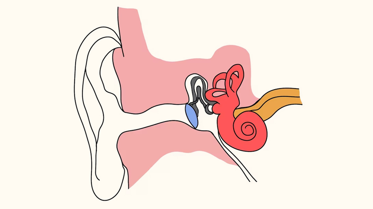 Ruptured Eardrum  Saint Luke's Health System