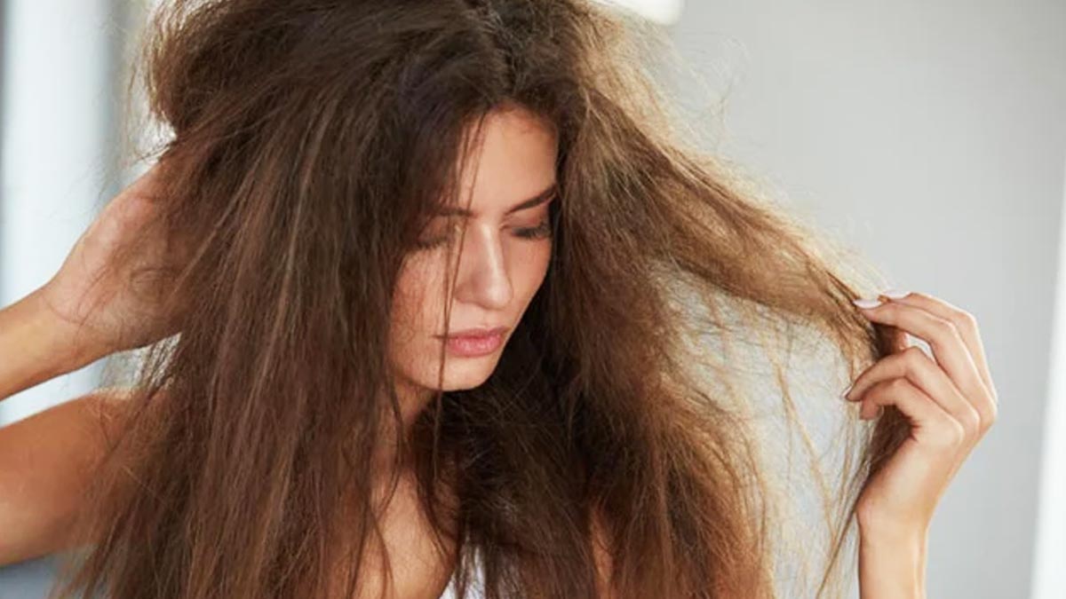 धूप और पसीने की वजह से खराब हो गए बाल? अपनाएं ये 5 उपाय जिनसे बालों में रहेगी सॉफ्टनेस