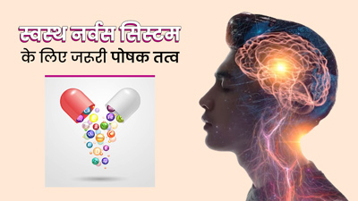 स्वस्थ नर्वस सिस्टम के लिए बहुत जरूरी हैं ये 3 पोषक तत्व, जानें किन फूड्स में होते हैं मौजूद