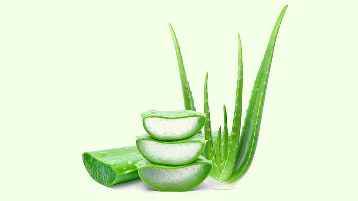 aloe vera for face
