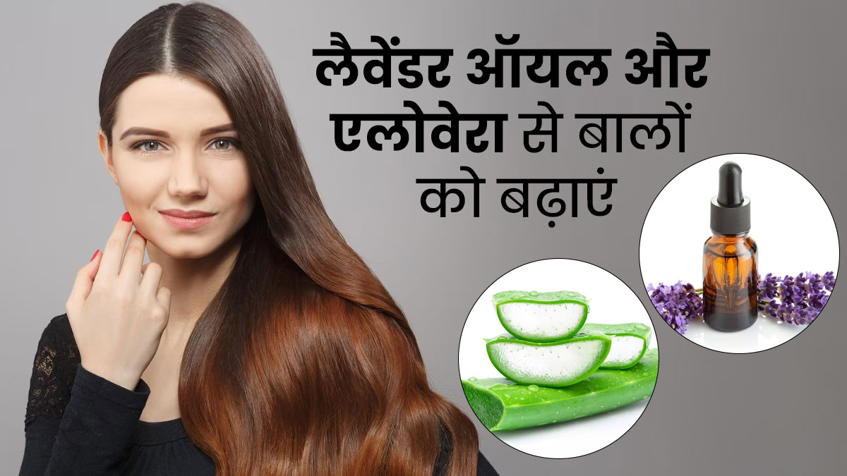 हेयर ग्रोथ बढ़ाने के लिए इस तरह लगाएं लैवेंडर ऑयल और एलोवेरा, बाल हो जाएंगे घने