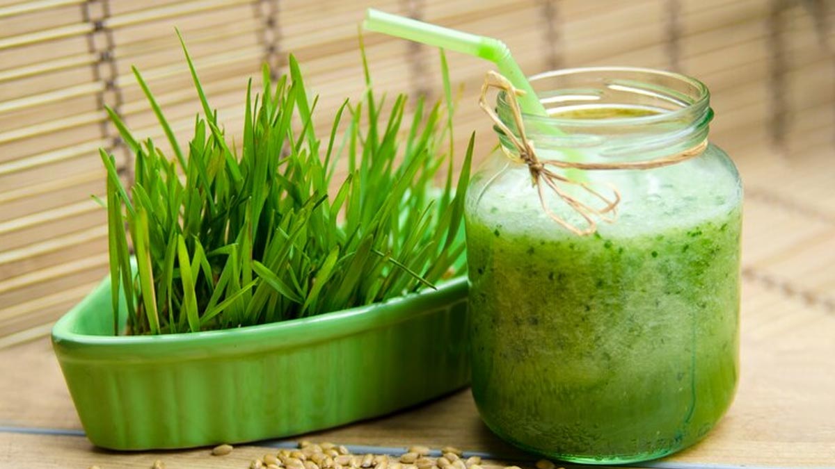 From Immunity To Fertility: Health Benefits Of Drinking Wheatgrass Juice